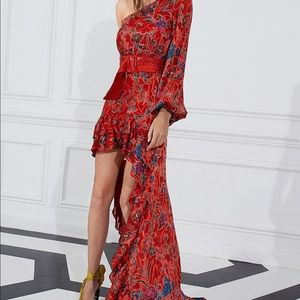 ISO ALEXIS MARSEILLE GOWN